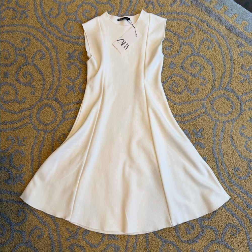 Zara Stretch Knit Skater Dress